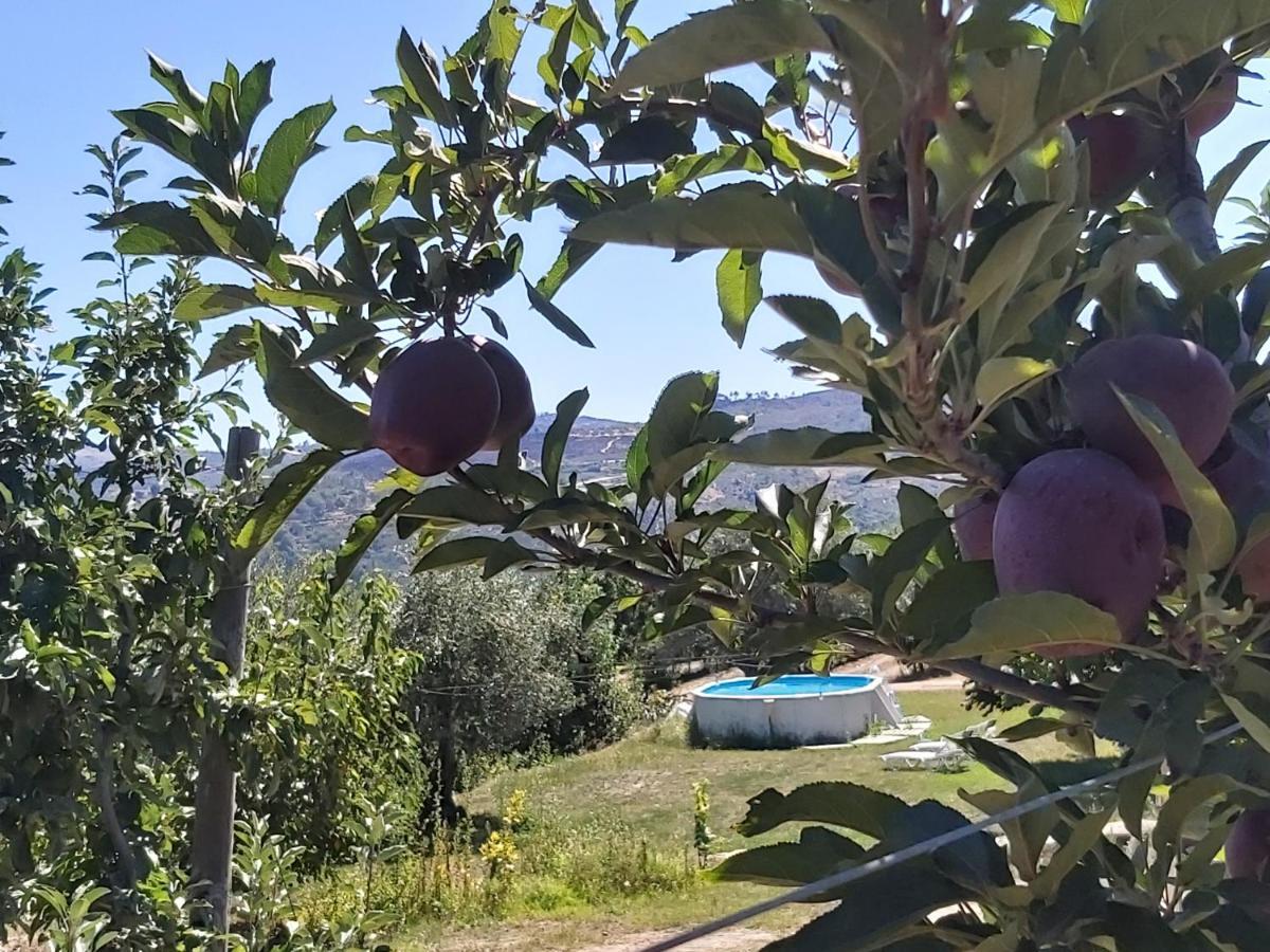 Casa Do Feitor - Douro - Quinta Da Cabrida Villa Sendim  Ngoại thất bức ảnh