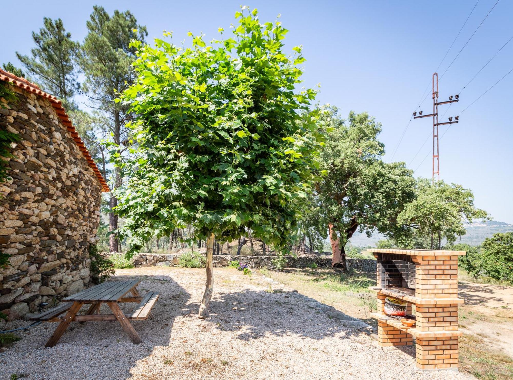 Casa Do Feitor - Douro - Quinta Da Cabrida Villa Sendim  Ngoại thất bức ảnh