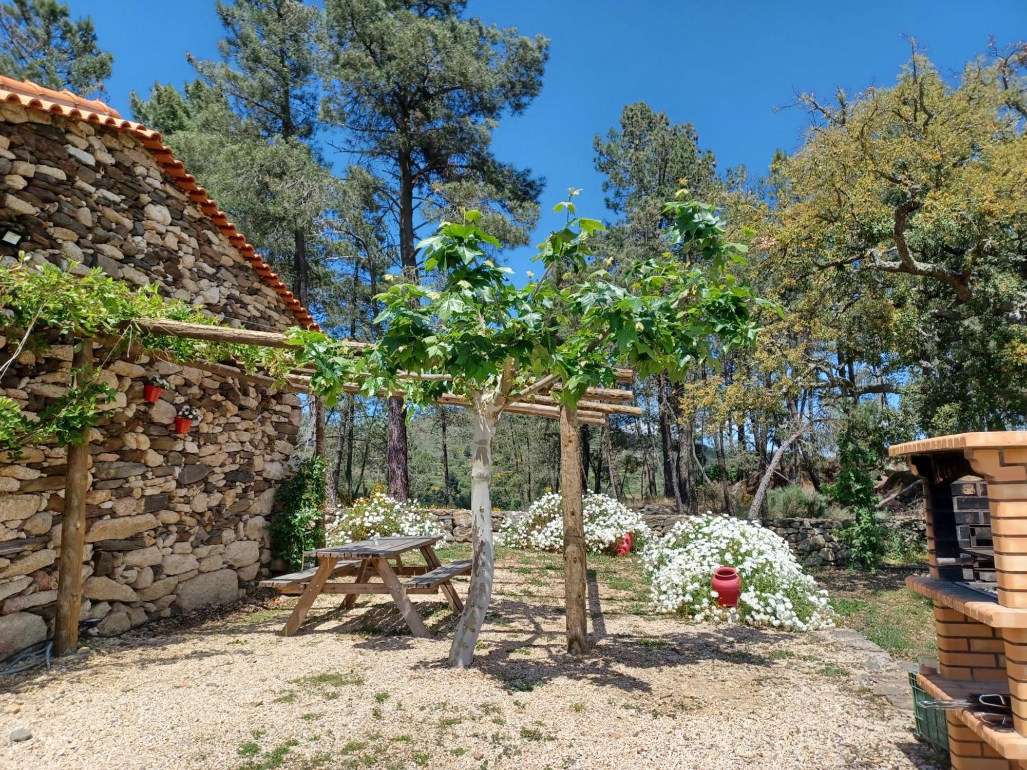 Casa Do Feitor - Douro - Quinta Da Cabrida Villa Sendim  Ngoại thất bức ảnh