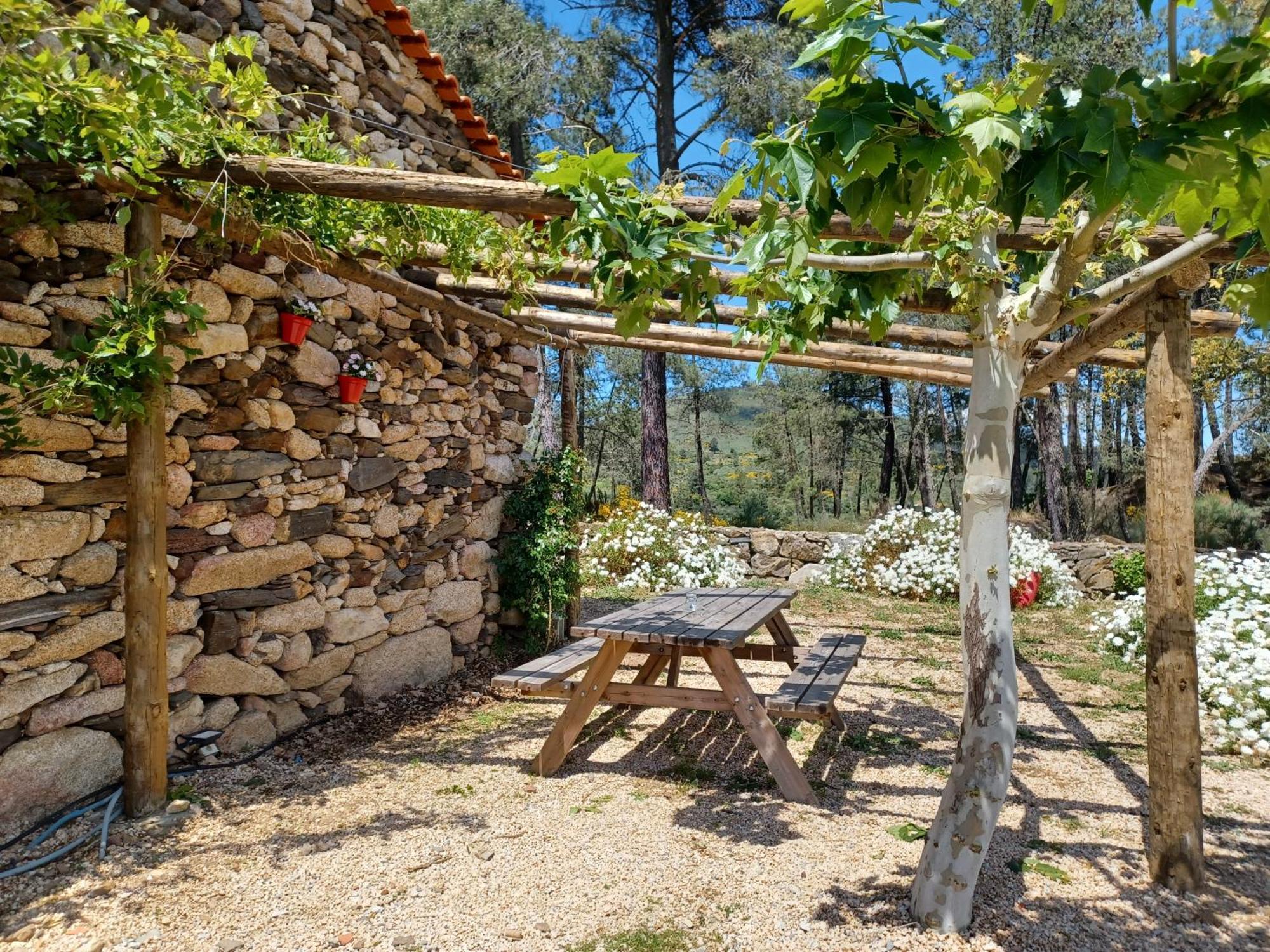Casa Do Feitor - Douro - Quinta Da Cabrida Villa Sendim  Ngoại thất bức ảnh