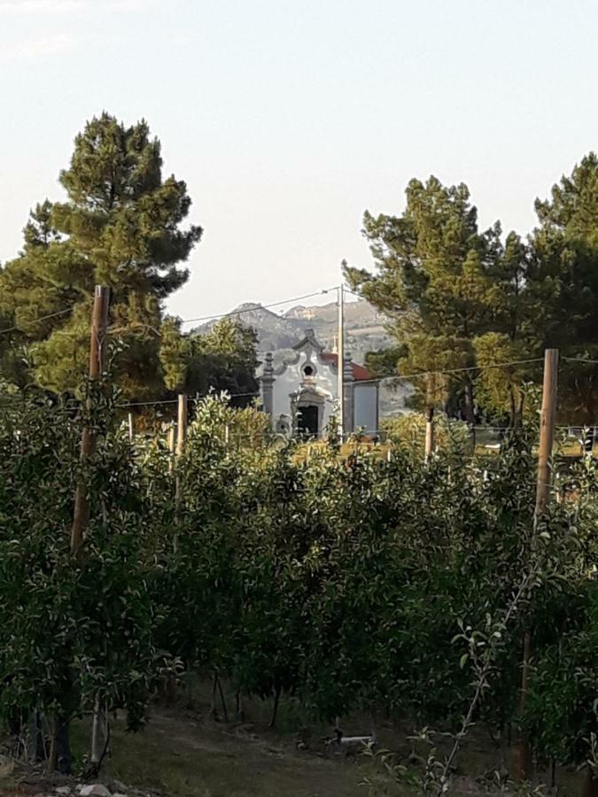 Casa Do Feitor - Douro - Quinta Da Cabrida Villa Sendim  Ngoại thất bức ảnh