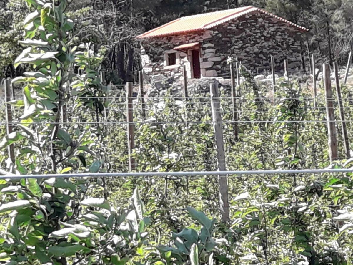 Casa Do Feitor - Douro - Quinta Da Cabrida Villa Sendim  Ngoại thất bức ảnh