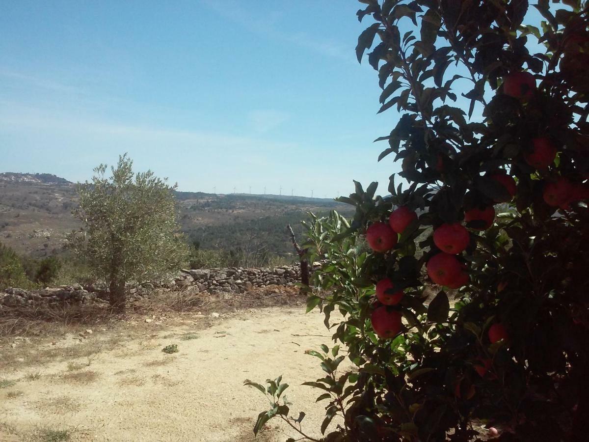 Casa Do Feitor - Douro - Quinta Da Cabrida Villa Sendim  Ngoại thất bức ảnh