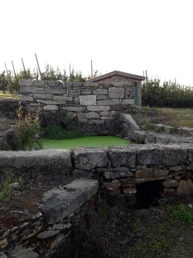 Casa Do Feitor - Douro - Quinta Da Cabrida Villa Sendim  Ngoại thất bức ảnh