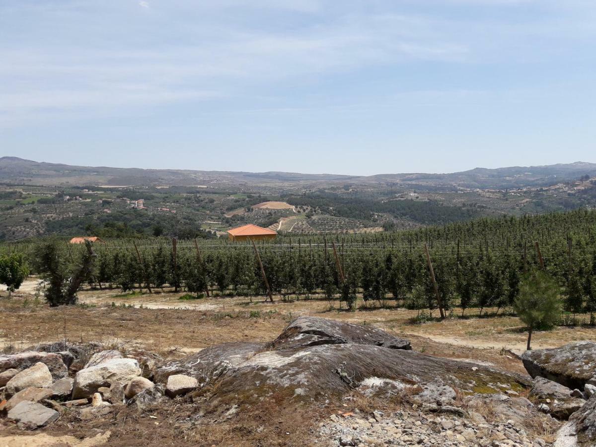 Casa Do Feitor - Douro - Quinta Da Cabrida Villa Sendim  Ngoại thất bức ảnh