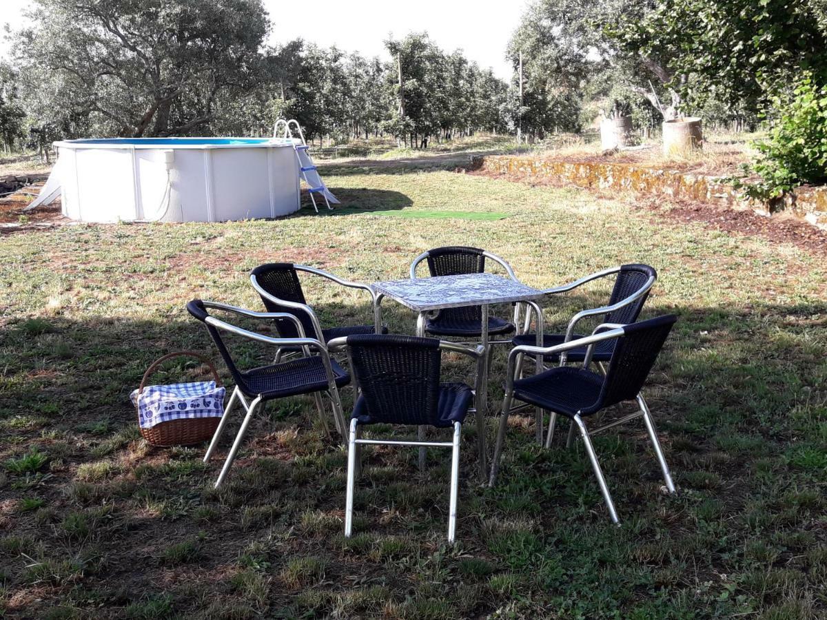 Casa Do Feitor - Douro - Quinta Da Cabrida Villa Sendim  Ngoại thất bức ảnh