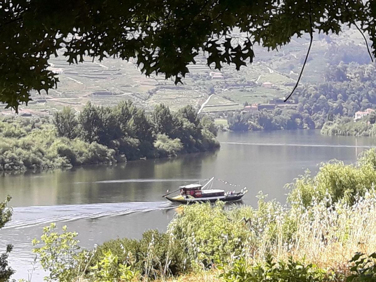 Casa Do Feitor - Douro - Quinta Da Cabrida Villa Sendim  Ngoại thất bức ảnh