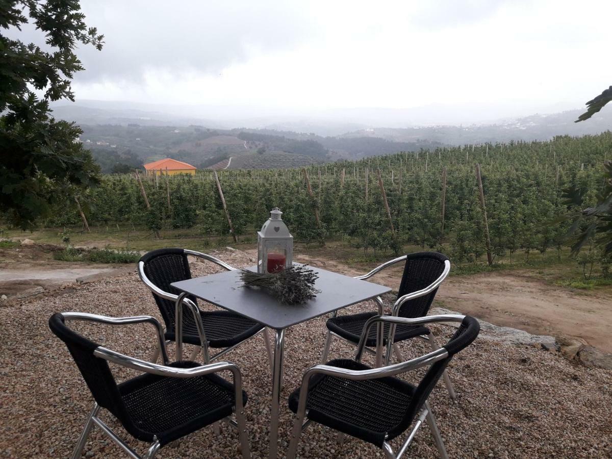 Casa Do Feitor - Douro - Quinta Da Cabrida Villa Sendim  Ngoại thất bức ảnh