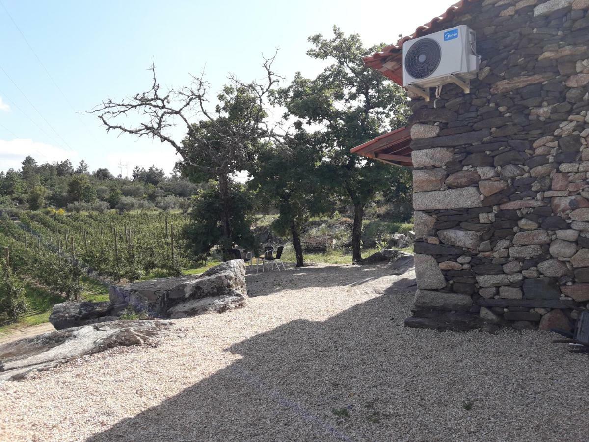 Casa Do Feitor - Douro - Quinta Da Cabrida Villa Sendim  Ngoại thất bức ảnh