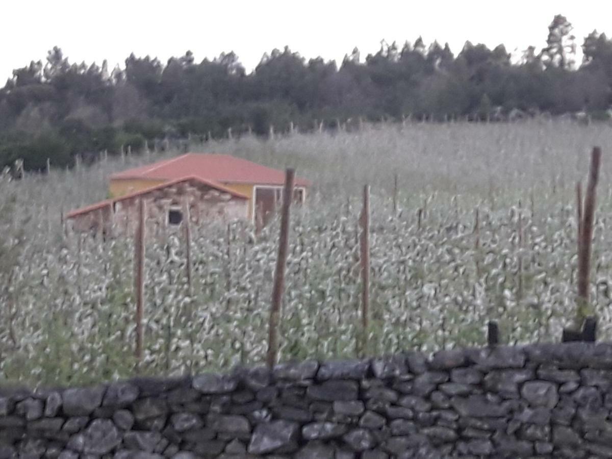 Casa Do Feitor - Douro - Quinta Da Cabrida Villa Sendim  Ngoại thất bức ảnh