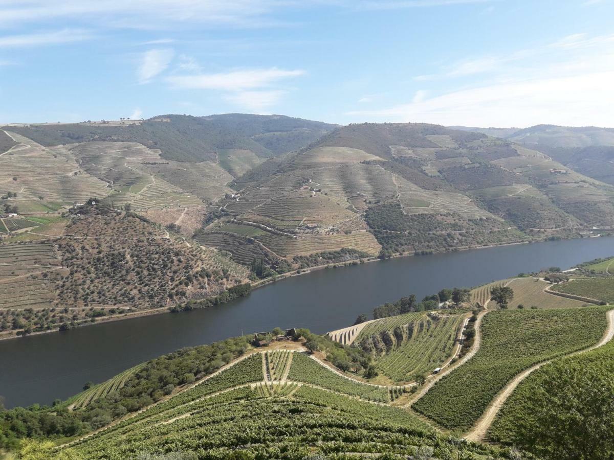 Casa Do Feitor - Douro - Quinta Da Cabrida Villa Sendim  Ngoại thất bức ảnh